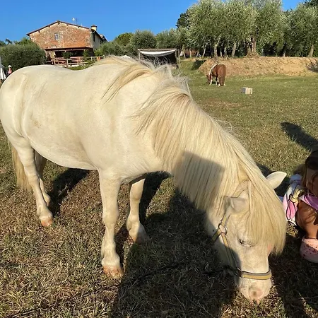 Casa vacanze Alloro *