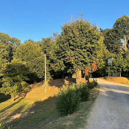 Casa vacanze Alloro Capannori